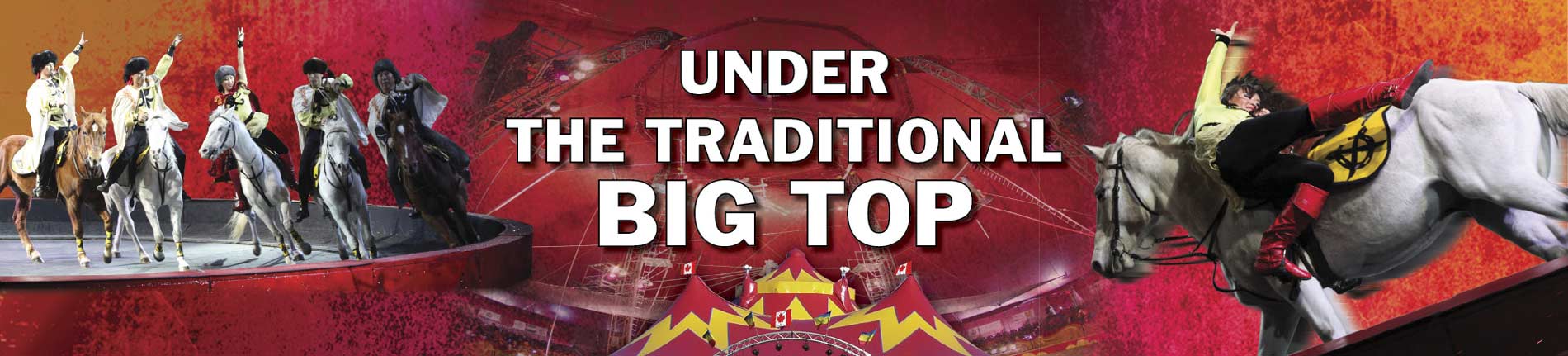 SC-WEB-BANNERS-2016-NEW-FEB-1-72-DPI-3